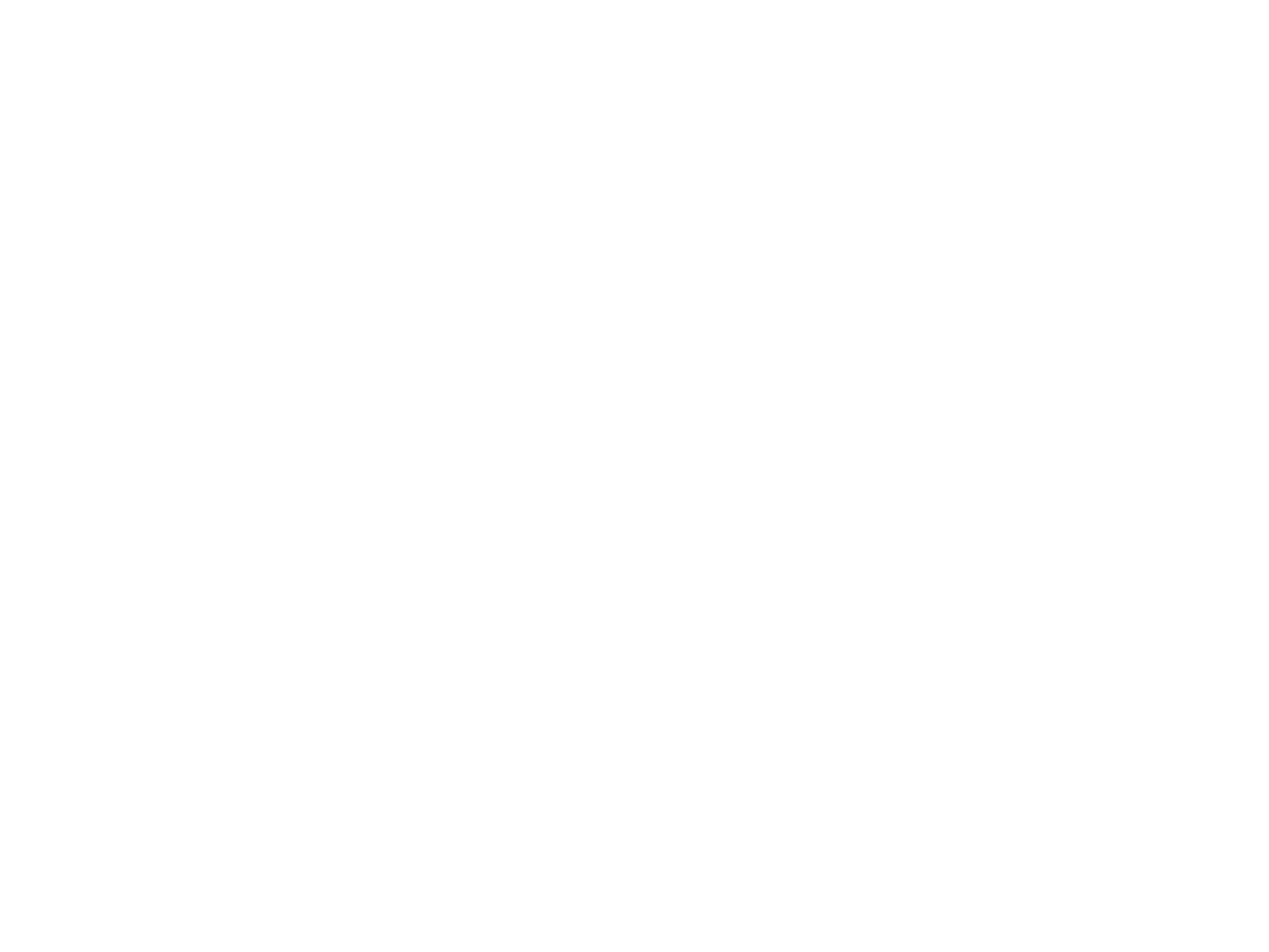 SD vertical logo light